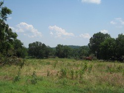 Southeastern Colbert County