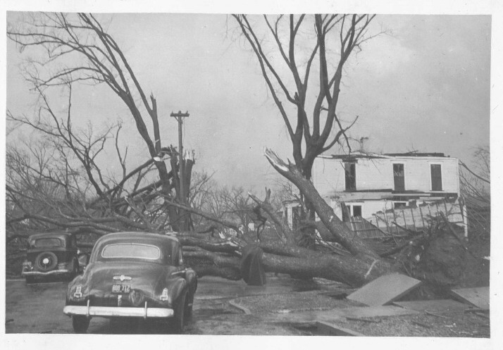 Lacon damage. Photo by Donald P. Cox