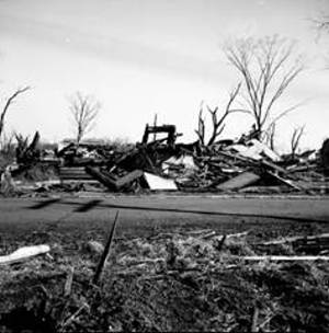 Lacon damage. Photo by Jack Gerardo