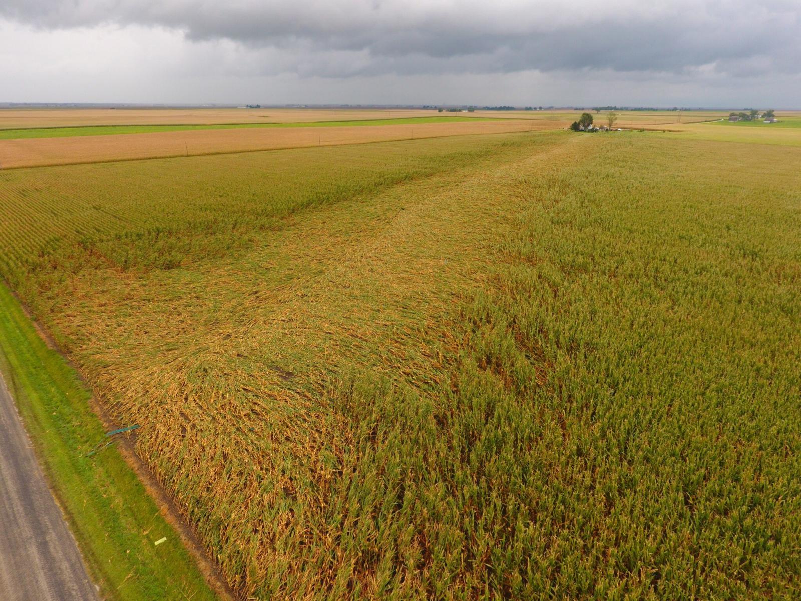 Aereal photo of damage track, courtesy of Jake Wolf