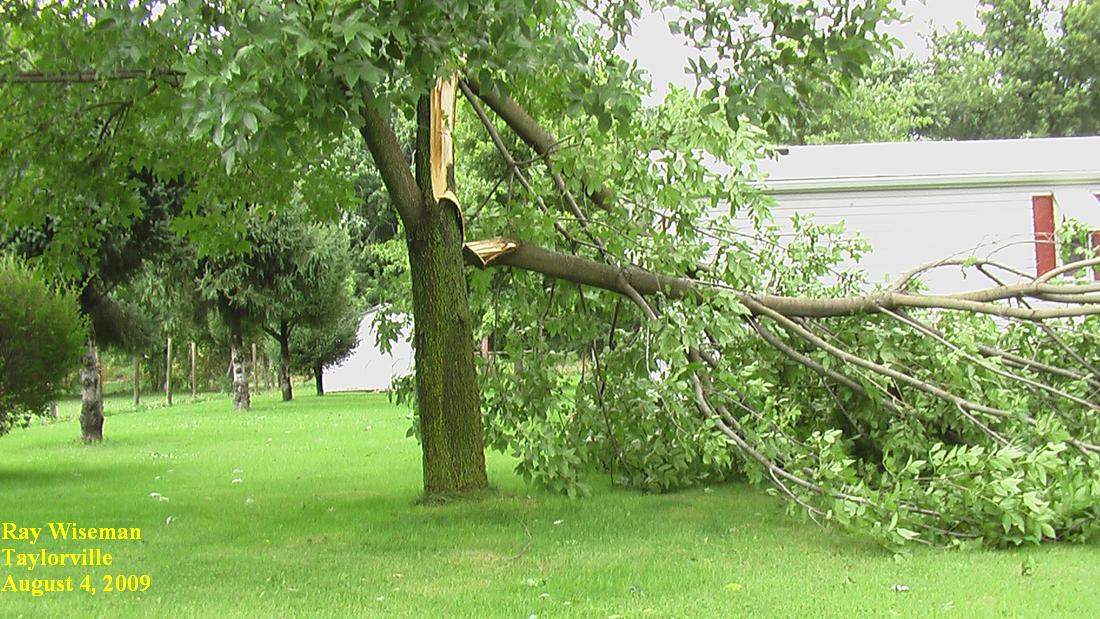 Example of wind damage