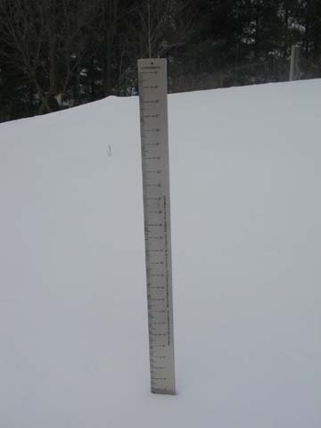 Snow ruler