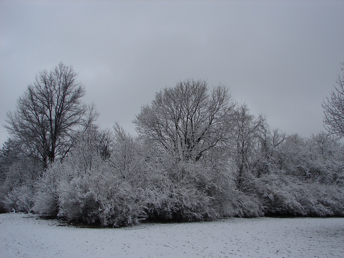 Photo of snow