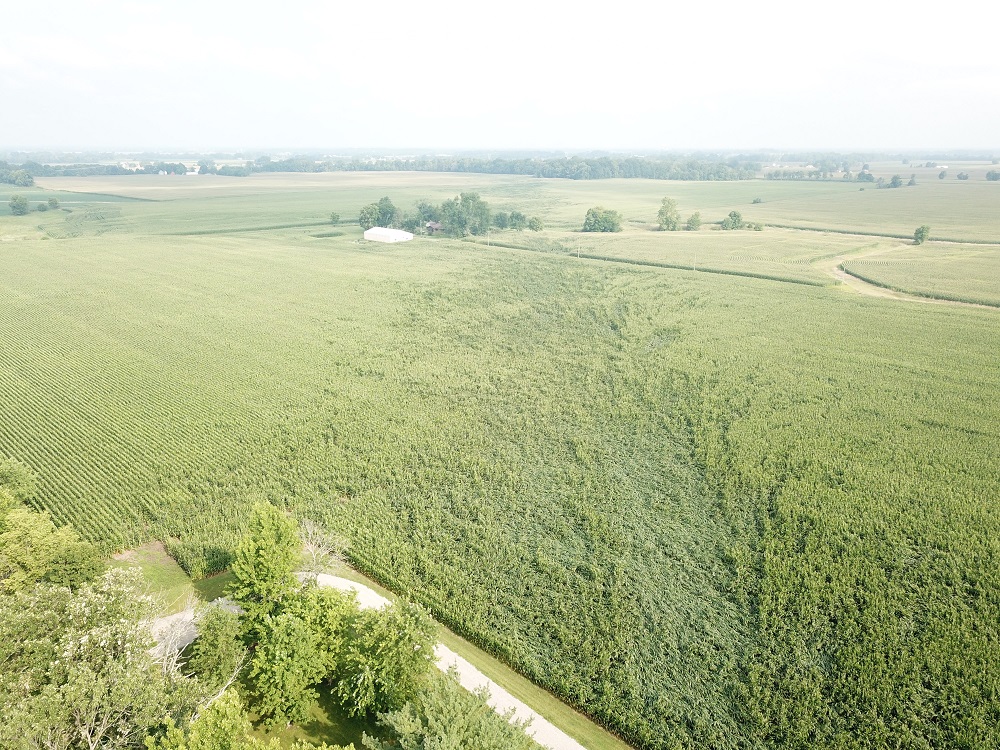 Tornado Path in Field 