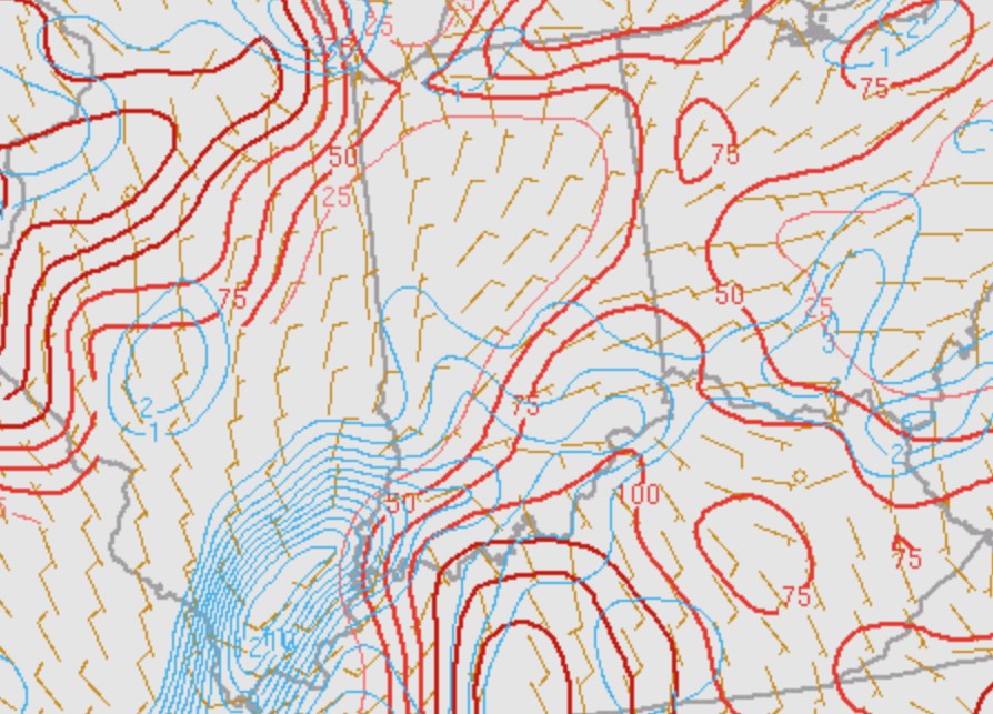 Environment - Zoomed in Low Level CAPE and Surface Vort