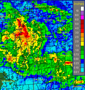 Daily Rainfall Reports