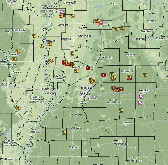 Local Storm Reports