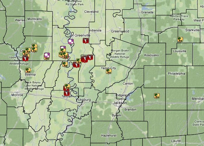 Local Storm Reports