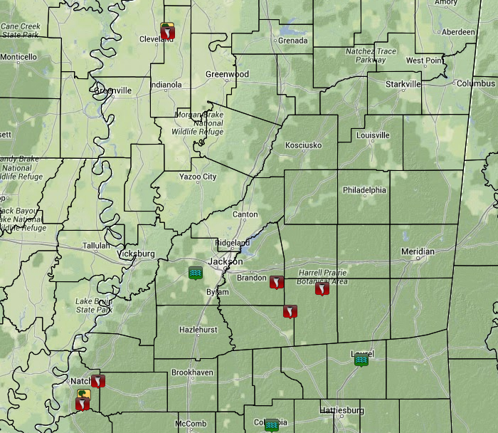 Local Storm Reports