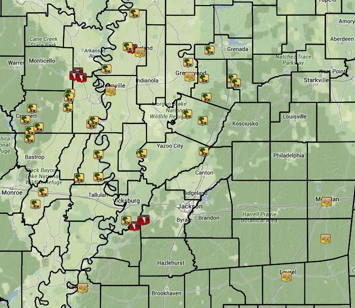 Local Storm Reports