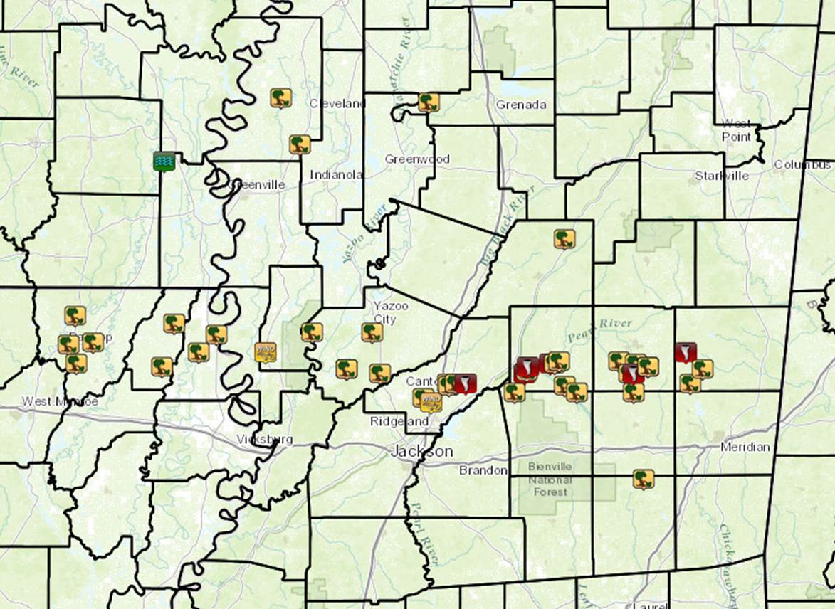 Local Storm Reports