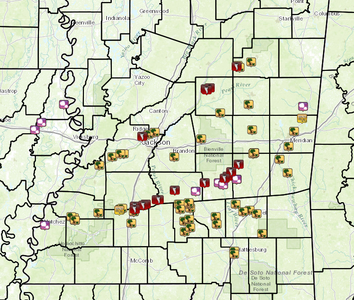 Local Storm Reports