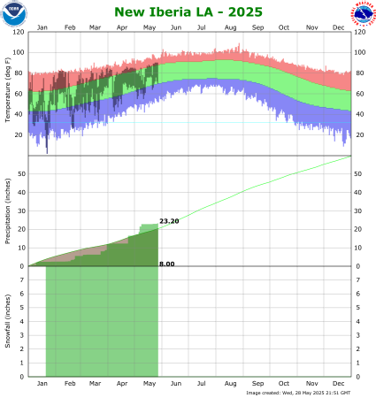 Temperature and precipitation plot for current year