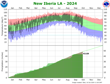 New Iberia temp/rain YTD image