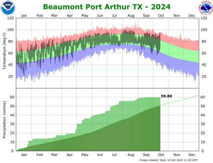 Beaumont/Port Arthur temp/rain YTD image