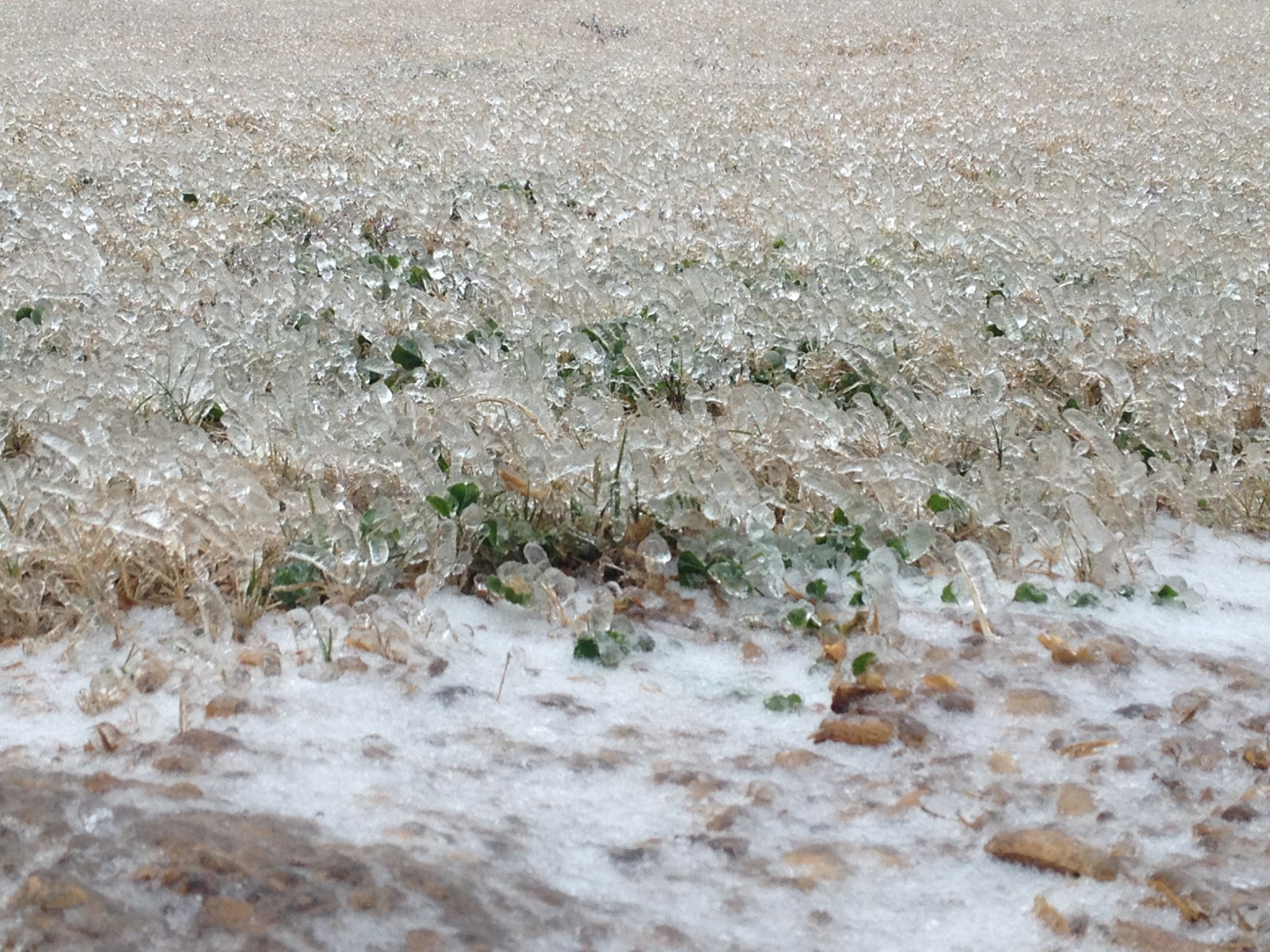 AM ice in Grand Lake