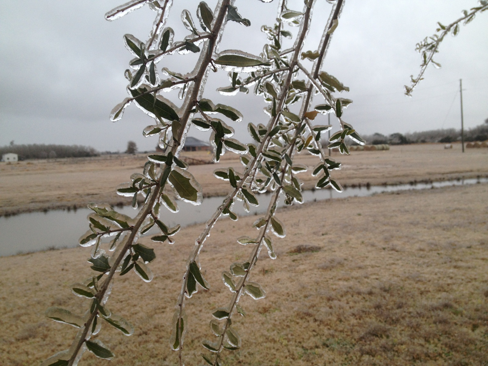 AM ice in Grand Lake