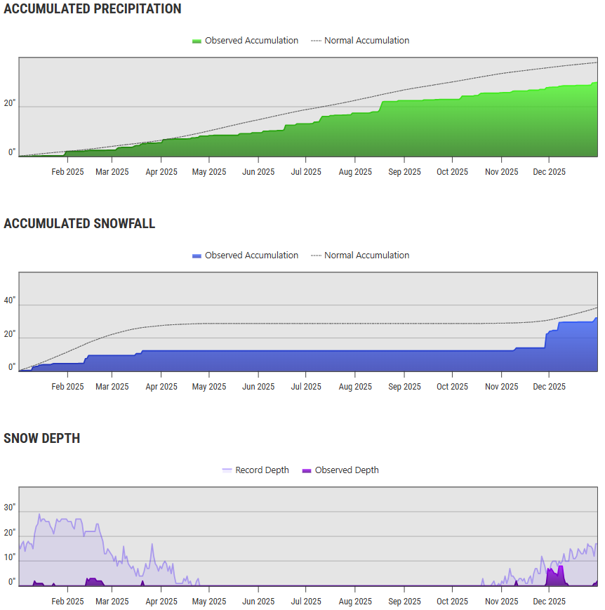 Precipitation, snowfall accumulation, and snow depth observed at Chicago-O'Hare Airport over the course of the 2025 calendar year plotted relative to the normal year-to-date precipitation and snowfall accumulation and daily record snow depth
