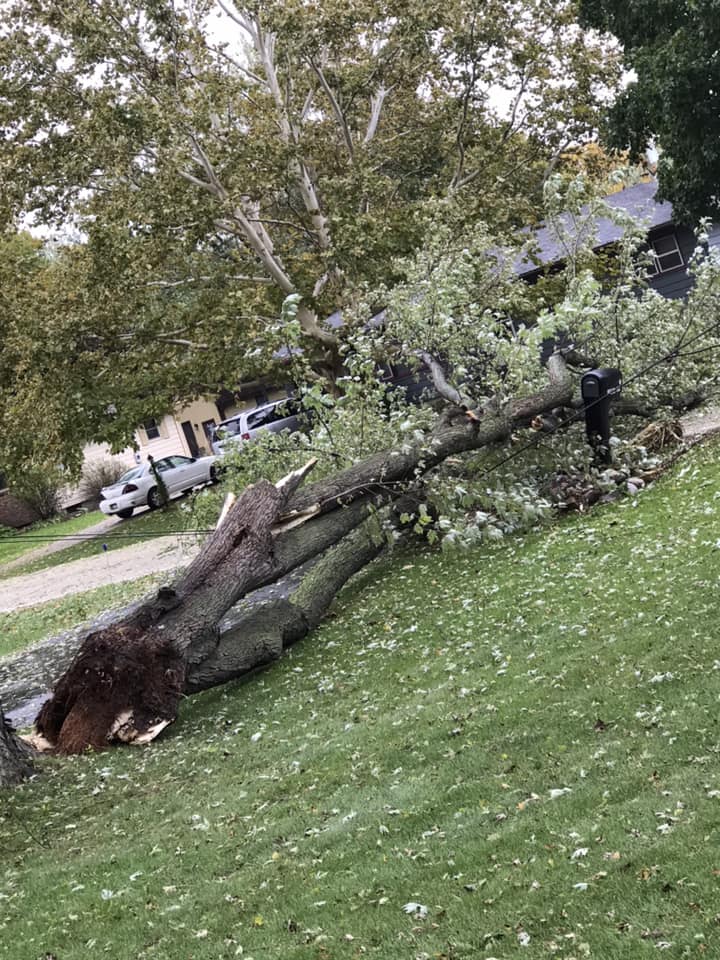 Sycamore, IL Wind Damage: Emily Kerkett James via Bob Wazsak