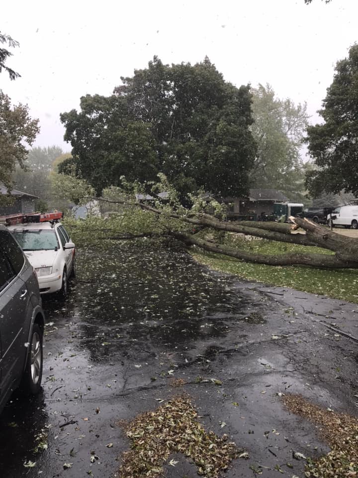 Sycamore, IL Wind Damage: Josh James via Bob Wazsak