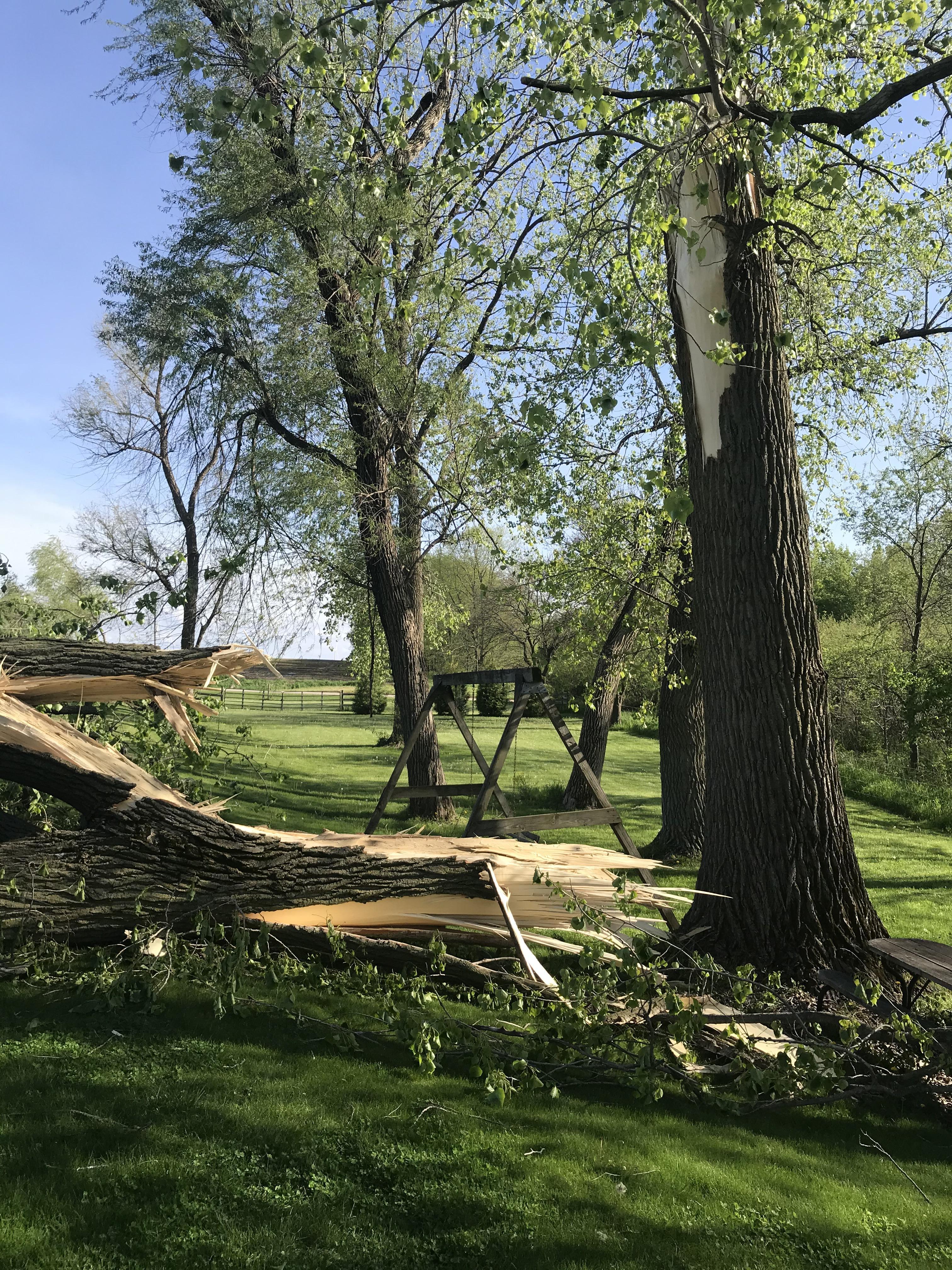 Wind Damage