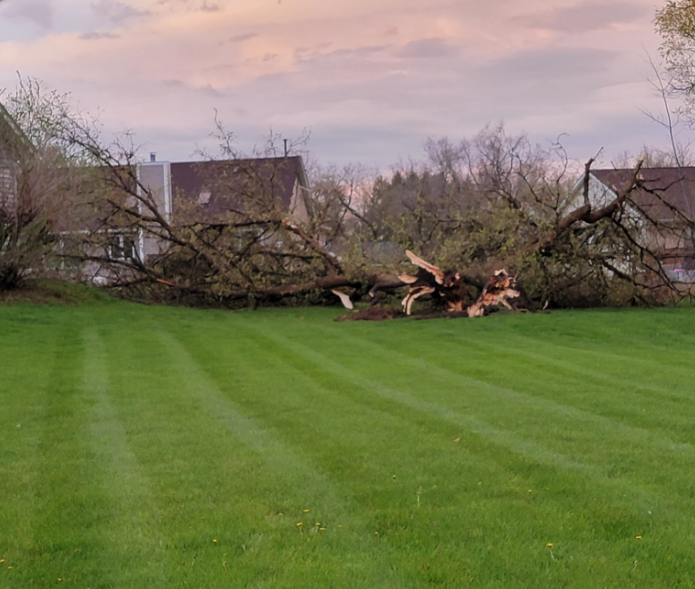 Tornado Damage