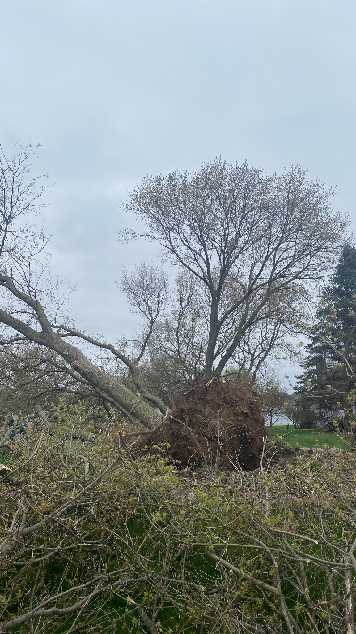 Tornado Damage