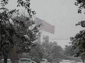 Picture of Snowfall in Lubbock (11/2/2004)