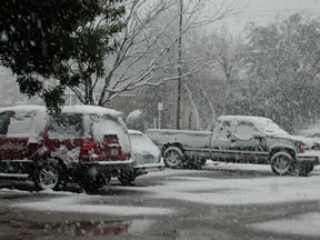 Picture of Snowfall in Lubbock (11/2/2004)