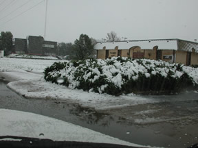 Picture of Snowfall in Lubbock (11/2/2004)