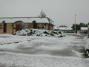 Picture of Snowfall in Lubbock (11/2/2004)