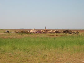 Damage from the second of two tornadoes to impact Ralls, TX. Click on the image for a larger view.