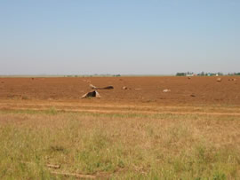 Damage from the second of two tornadoes to impact Ralls, TX. Click on the image for a larger view.