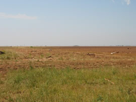 Damage from the second of two tornadoes to impact Ralls, TX. Click on the image for a larger view.