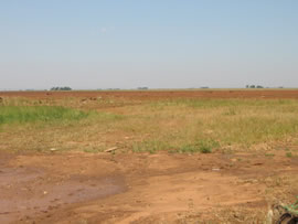 Damage from the second of two tornadoes to impact Ralls, TX. Click on the image for a larger view.