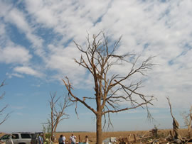 Damage from the first of two tornadoes to impact Ralls, TX. Click on the image for a larger view.