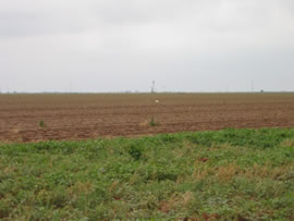 Image of damage from June 9, 2005 storm. Photograph taken by Brian LaMarre, Warning Coordination Meteorologist, WFO Lubbock, TX.