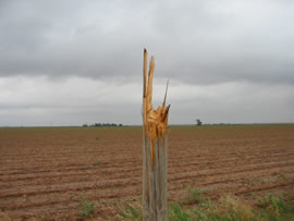 Image of damage from June 9, 2005 storm. Photograph taken by Brian LaMarre, Warning Coordination Meteorologist, WFO Lubbock, TX.