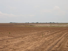 Image of damage from June 9, 2005 storm. Photograph taken by Brian LaMarre, Warning Coordination Meteorologist, WFO Lubbock, TX.