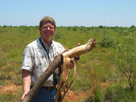 Image of damage from June 12, 2005 storm in Kent County,  northwest of Jayton