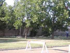 Damage from a Heat Burst in Lubbock. Click on the image for a larger view.