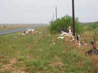 Damage near Lake Alan Henry.