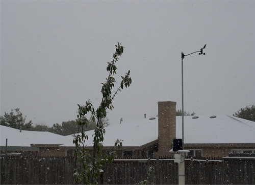 Picture of falling snow taken by Mark Conder.