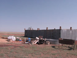 Image of damage around the Muleshoe area from storms on 25 May 2008. Click on the picture for a larger view. Photo by Jody James.