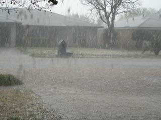 Picture of hail falling in southwest Lubbock on 16 April 2009. Click on the image for a larger view.