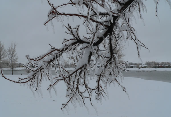 Picture of ice and snow in southwest Lubbock on January 28, 2010. Click on the image for a larger view.