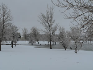 Picture of ice, sleet and snow impacts around the Lubbock area. Click on the picture for a larger view.