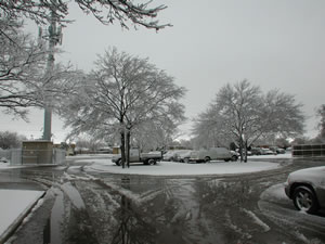 Picture of ice, sleet and snow impacts around the Lubbock area. Click on the picture for a larger view.