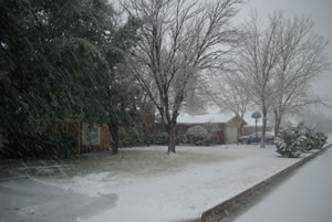 Picture of ice, sleet and snow impacts around the Lubbock area. Click on the picture for a larger view.