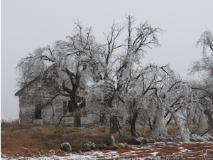 Picture of ice, sleet and snow impacts around the Childress area. Click on the picture for a larger view.